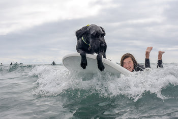 A girl surfing with a dog at the end of her board
