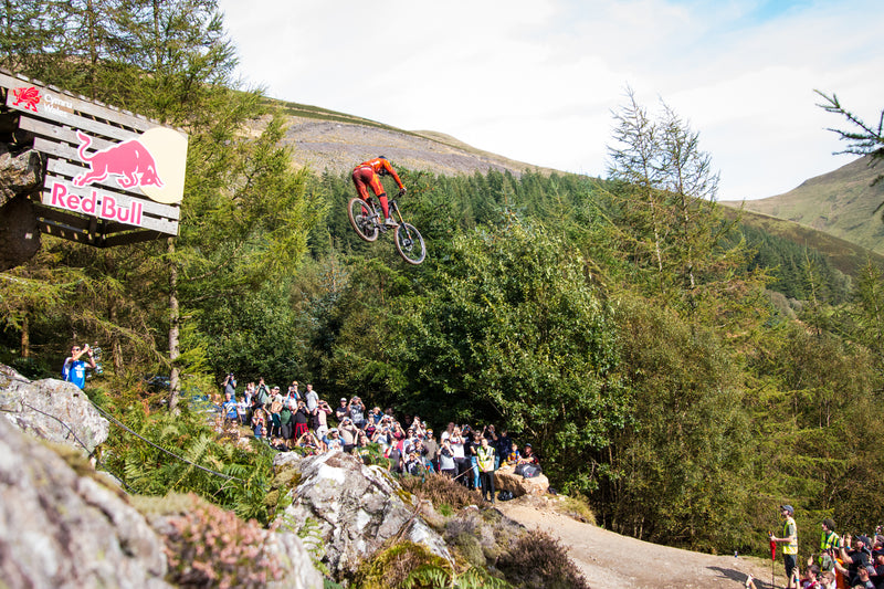 Red Bull Hardline 2019