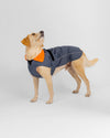 Dark Grey Orange Dog Coat