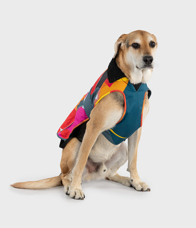 Abstract Dog Coat