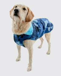 Dog standing facing camera, wearing dryrobe Dog in Blue Camo 