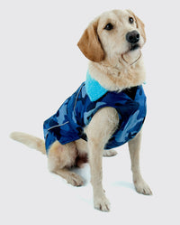 Dog sat down, wearing dryrobe Dog in Blue Camo 