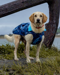 Dog stood outside in grass, wearing dryrobe Dog in Blue Camo 