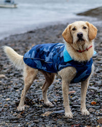 Dog stood on pebble beach by the sea, wearing dryrobe Dog in Blue Camo 