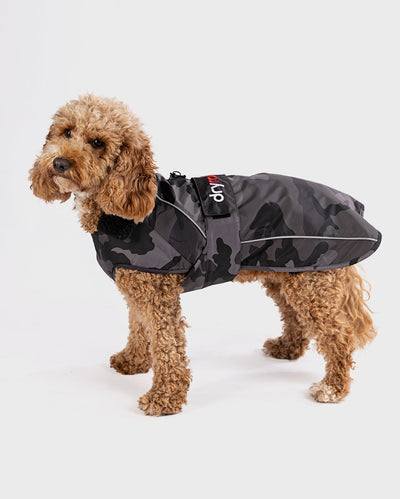 1|Cockapoo standing wearing Black Camo dryrobe® Dog