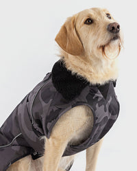 1|Labradoodle sitting wearing Black Camo dryrobe® Dog