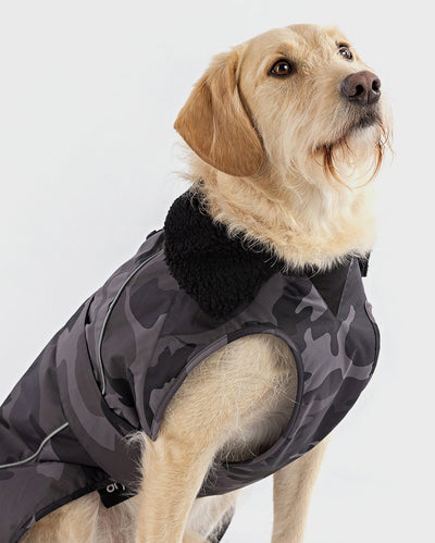 1|Labradoodle sitting wearing Black Camo dryrobe® Dog