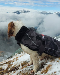 1|Dog sitting on a hill in front of mountains, wearing Black Camo dryrobe® Dog
