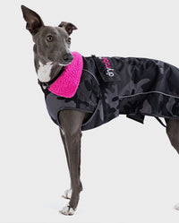 1|Grey whippet wearing Black Camo Pink dryrobe® Dog 