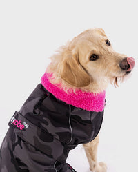 1|Labradoodle sitting wearing Black Camo Pink dryrobe® Dog 