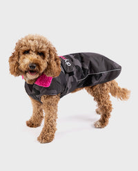 1|Cockapoo standing with tongue out, wearing Black Camo Pink dryrobe® Dog 