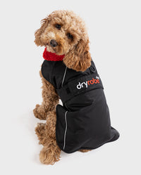 1|Cockapoo sitting facing the camera, wearing Black Red dryrobe® Dog