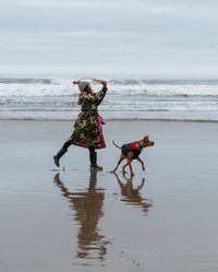 1|Woman throwing ball for dog on a beach