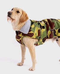 1|Labradoodle standing wearing Camo Grey dryrobe® Dog