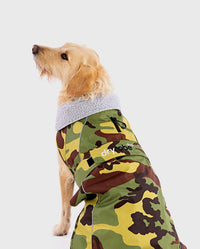 1|Labradoodle sitting wearing Camo Grey dryrobe® Dog 