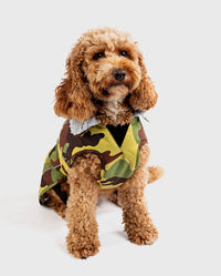 1|Cockapoo sitting wearing Camo Grey dryrobe® Dog