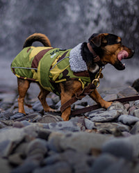 1|Small dog walking on a beach wearing Camo Grey dryrobe® Dog