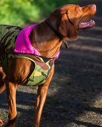 1|Vizsla wearing Camo Pink dryrobe® Dog