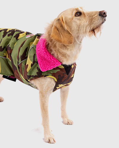 1|Labradoodle wearing Camo Pink dryrobe® Dog 