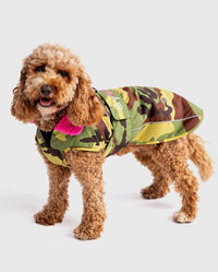 1|Cockapoo standing wearing Camo Pink dryrobe® Dog 