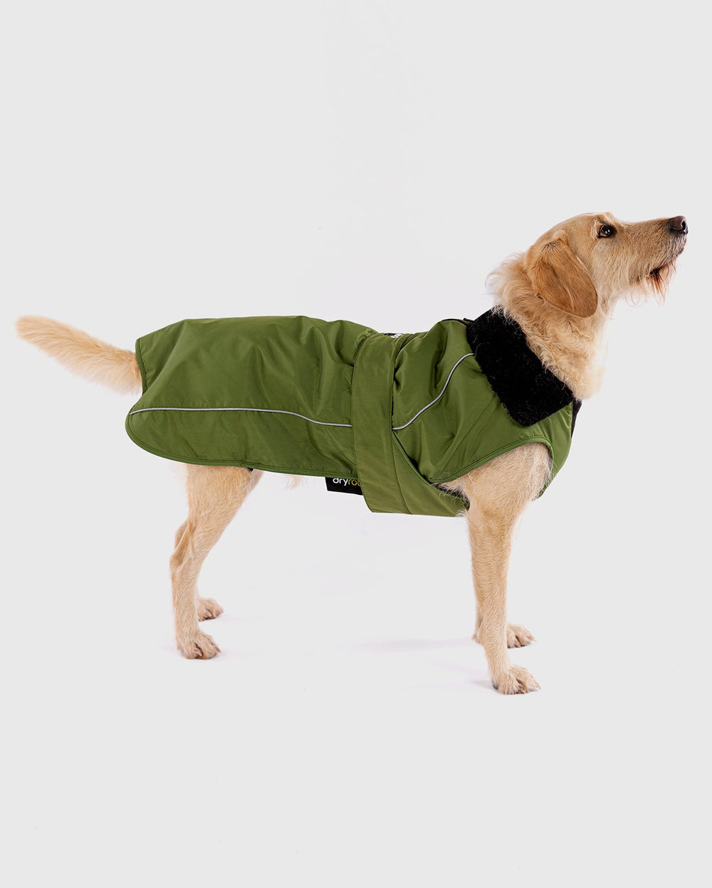 Forest Green Black Dog Coat Dryrobe Dryrobe USA forest-green-black-dog-coat-dryrobe-dryrobe-usa