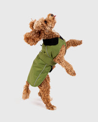 1|Cockapoo jumping, wearing Forest Green dryrobe® Dog 