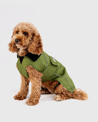 1|Cockapoo sat facing the camera, wearing Forest Green dryrobe® Dog 