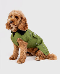 1|Cockapoo sat facing the camera, wearing Forest Green dryrobe® Dog