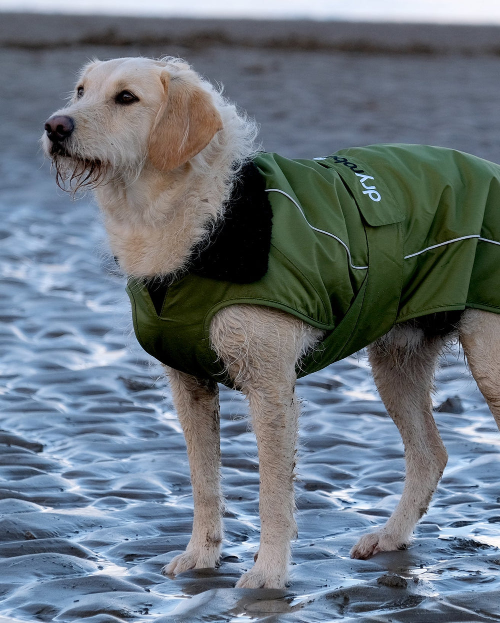 Forest Green Black Dog Coat Dryrobe Dryrobe USA forest-green-black-dog-coat-dryrobe-dryrobe-usa